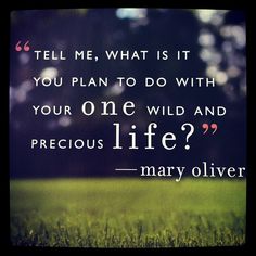 704db032e3bf003746a258f0c57e3c2a