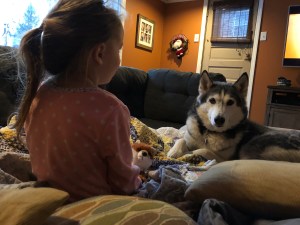 child with husky
