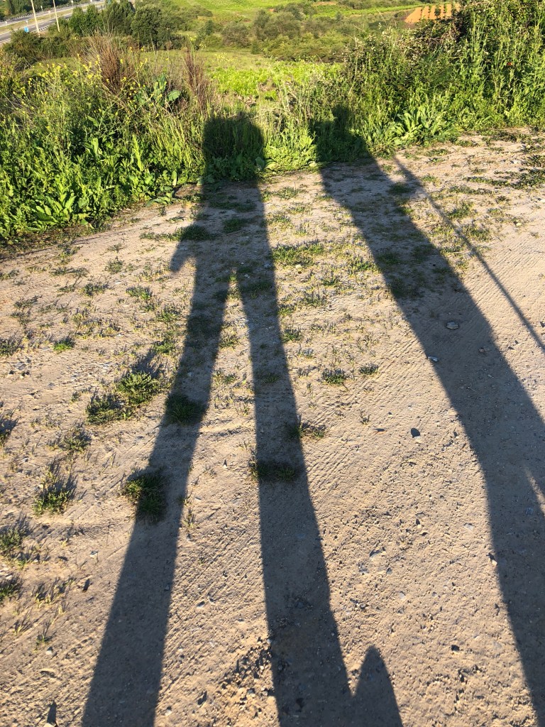 shadows on camino de santiago group