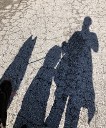 A shadow of a woman and two dogs