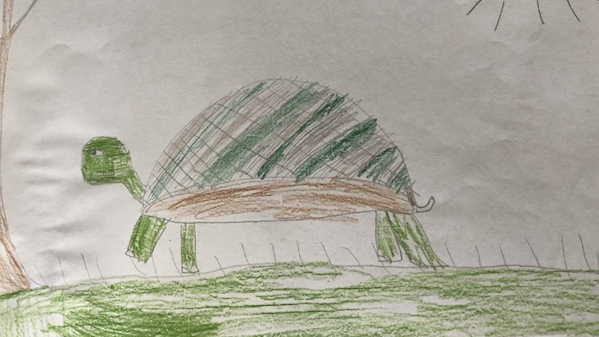 A Turtle in the Storm – Anne Brock